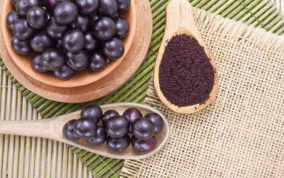 Bacche di acai: davvero sono un frutto miracoloso?