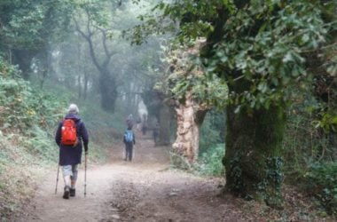 Scoprire la Via Francigena: a piedi o in bicicletta