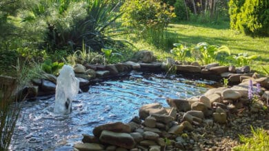 laghetto o stagno in giardino