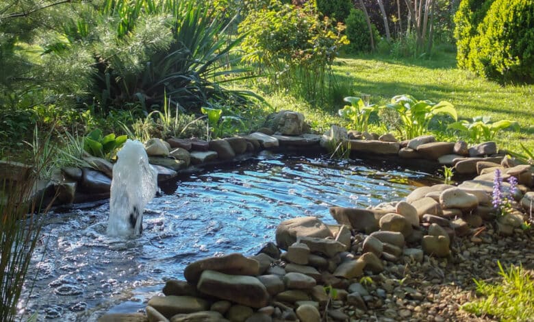 laghetto o stagno in giardino