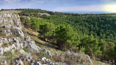 Parco Nazionale dell’Alta Murgia