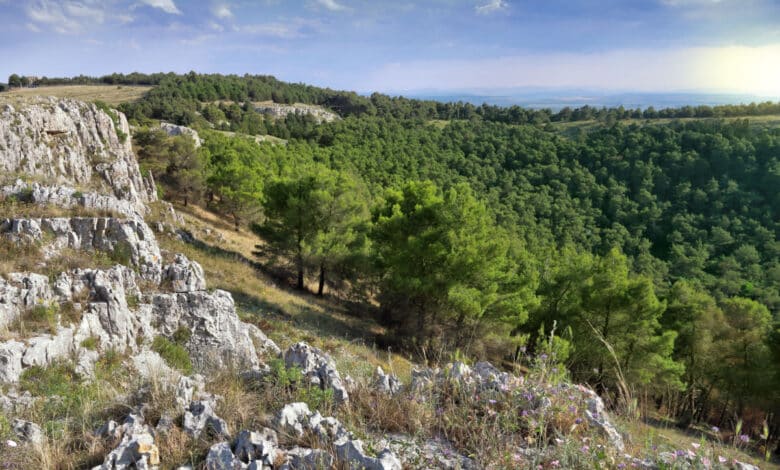 Parco Nazionale dell’Alta Murgia