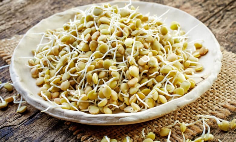 gerogli di lenticchie