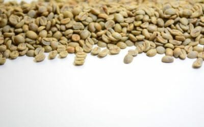 Acido clorogenico: fa davvero bene?