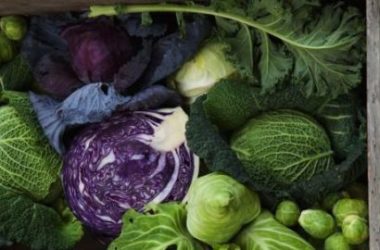 Cavolo cappuccio: proprietà, benefici e ricette