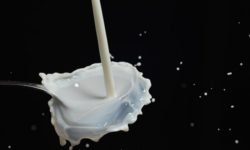 Fermentazione lattica: come funziona e a cosa serve