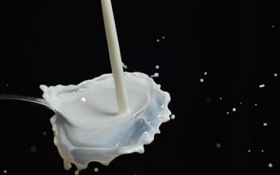 Fermentazione lattica: come funziona e a cosa serve