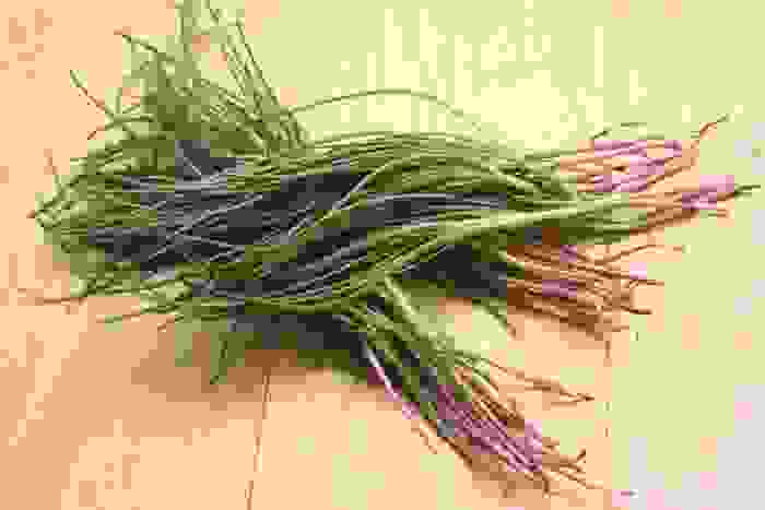 agretti o barba di frate