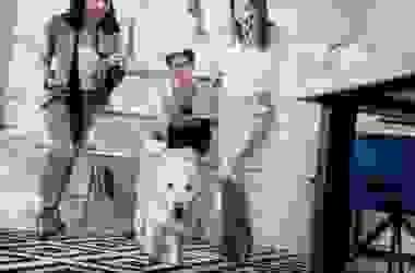 Portati il cane in ufficio e lavorerai meglio!