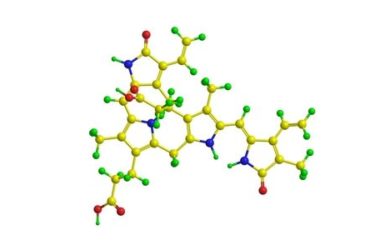 Bilirubina: valori fisiologici, sintomi, cause e rimedi
