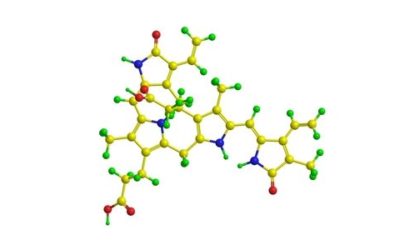 Bilirubina: valori fisiologici, sintomi, cause e rimedi