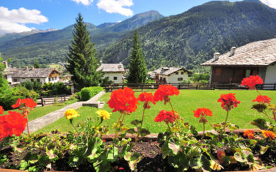 Giardini botanici in Valle d’Aosta: paradisi da visitare