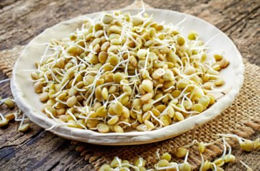 Germogli di lenticchie: proprietà e utilizzi in cucina