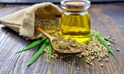 Olio di canapa: proprietà per la cosmesi e non solo