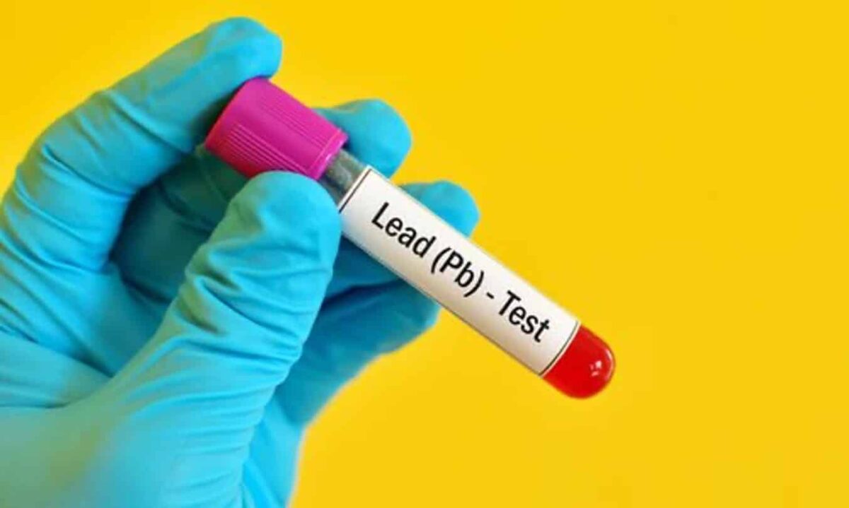 Piombo, alimenti e rischi per la salute