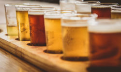 Birra biologica: dove trovare le migliori birre