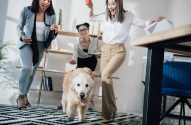 Portati il cane in ufficio e lavorerai meglio!