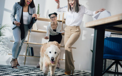 Portati il cane in ufficio e lavorerai meglio!
