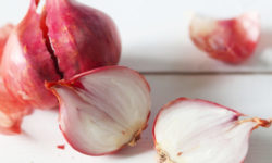 Scalogno: proprietà e benefici di pianta e bulbo