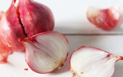 Scalogno: proprietà e benefici di pianta e bulbo