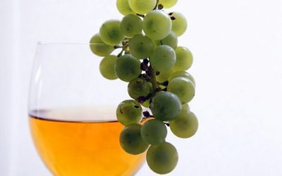 Fermentazione alcolica: come funziona e a cosa serve
