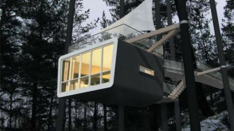 albergo sugli alberi