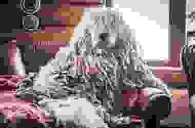 Komondor: aspetto, carattere ed educazione