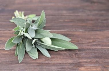 Come utilizzare la salvia in cosmetica: 4 ricette interessanti