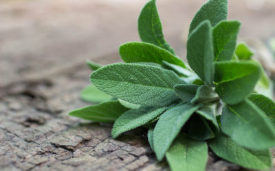 Come utilizzare la salvia in cosmetica: 4 ricette interessanti