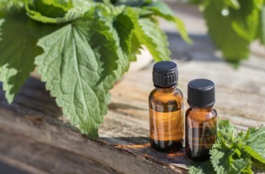 Ecco come curare i capelli con l’ortica: alcune ricette di lozioni rinforzanti e toniche