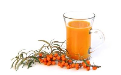 Le bacche di olivello spinoso, un vero e proprio stimolante naturale