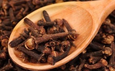 I chiodi di garofano, scopritene le proprietà, i benefici e gli utilizzi in cucina