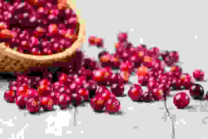 Cistite rimedi naturali: le gemme di mirtillo rosso