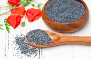 Semi di papavero: proprietà, benefici e controindicazioni