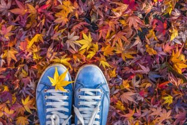 Cose da fare in autunno con tutta la famiglia