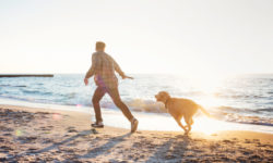 Cani in spiaggia: diritti e doveri degli animali e dei loro padroni