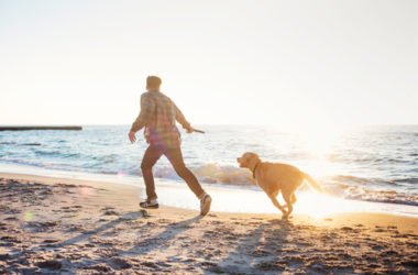 Cani in spiaggia: diritti e doveri degli animali e dei loro padroni