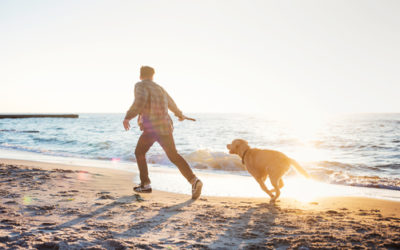Cani in spiaggia: diritti e doveri degli animali e dei loro padroni