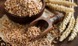 Benefici e proprietà del farro, ricette e utilizzi