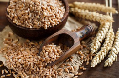 Benefici e proprietà del farro, ricette e utilizzi