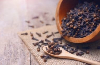 La magia dei chiodi di garofano: scopriamone le proprietà, i benefici e gli utilizzi in cucina