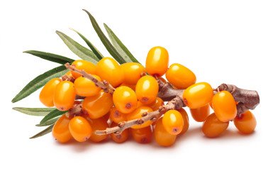 Olivello Spinoso