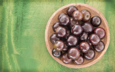Jaboticaba, l’albero che ha i frutti che crescono sul suo tronco