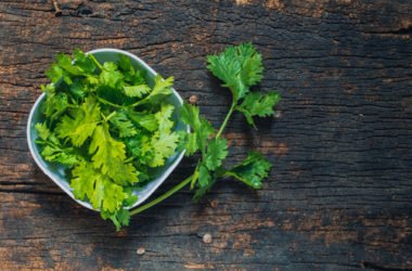 Tutto sul coriandolo: i segreti di una spezia molto apprezzata in cucina