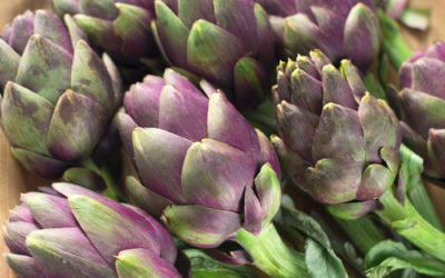 Carciofi: proprietà e ricette per sfruttare al meglio questo alimento