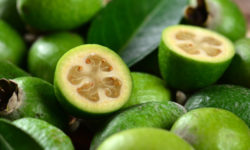 Feijoa proprietà e ricette della marmellata