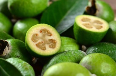 Feijoa proprietà e ricette della marmellata