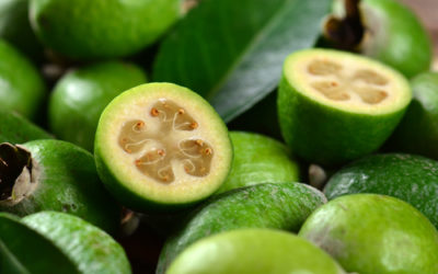 Feijoa proprietà e ricette della marmellata