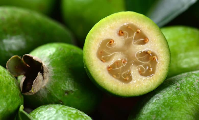 feijoa