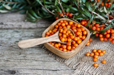 Le bacche di olivello spinoso, un vero e proprio stimolante naturale